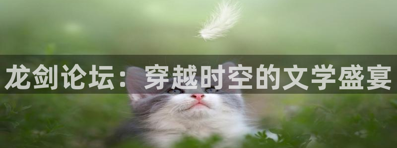 龙剑论坛：穿越时空的文学盛宴